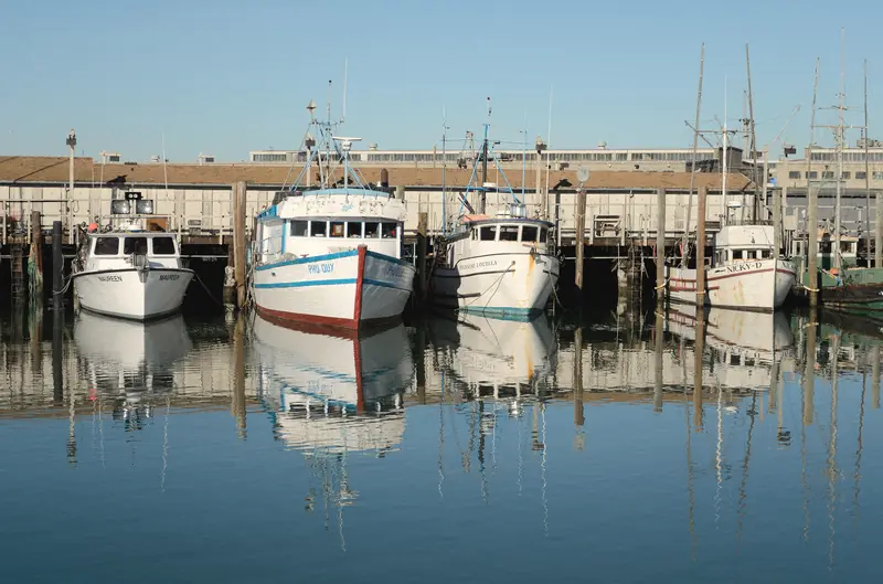 Photo of white fishing boats moored at Fisherman’s Wharf on a still morning